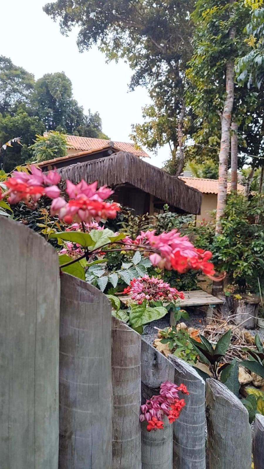 4 Elementos Guest House 포르투세구로 외부 사진